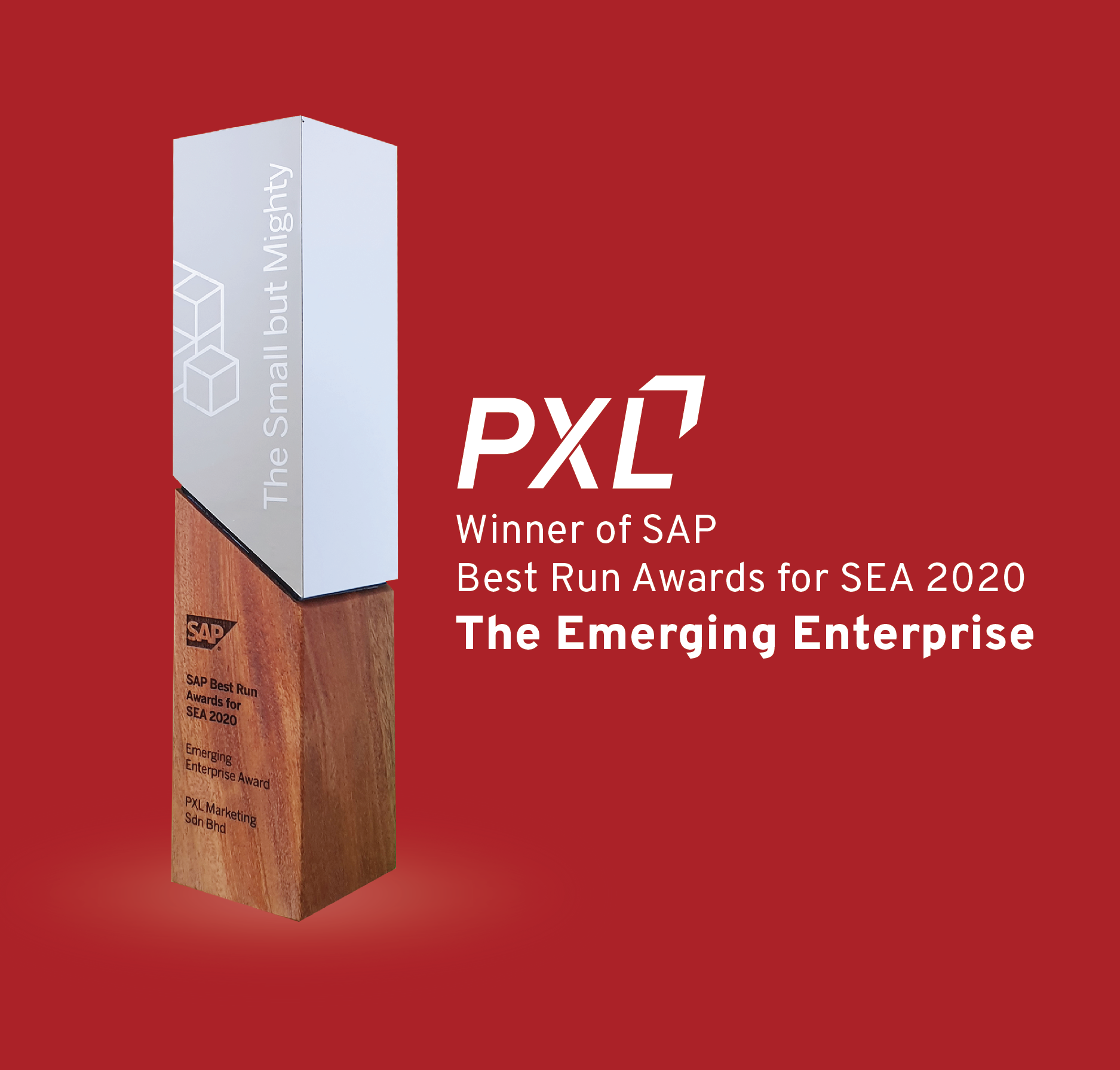 PXL as a winner of SAP Best Run Awards for SEA 2020 : The Emerging Enterprise